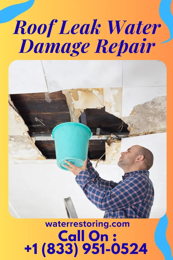 Roof Leak Water Damage Repair in Butteville, OR